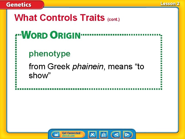 What Controls Traits (cont. ) phenotype from Greek phainein, means “to show” 