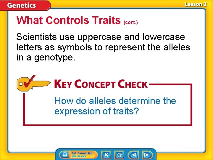 What Controls Traits (cont. ) Scientists use uppercase and lowercase letters as symbols to