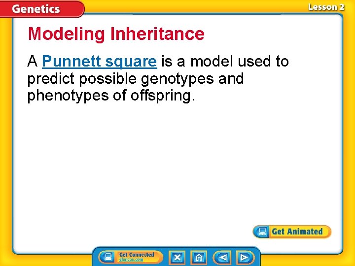 Modeling Inheritance A Punnett square is a model used to predict possible genotypes and