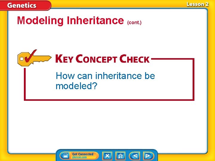 Modeling Inheritance (cont. ) How can inheritance be modeled? 