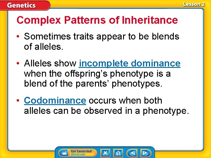 Complex Patterns of Inheritance • Sometimes traits appear to be blends of alleles. •