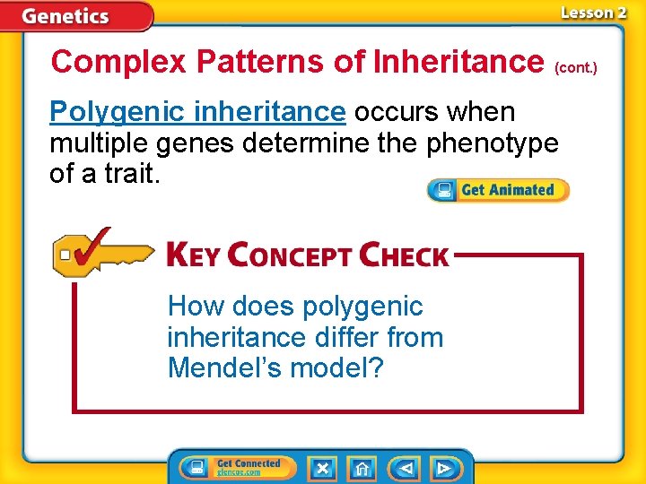 Complex Patterns of Inheritance (cont. ) Polygenic inheritance occurs when multiple genes determine the