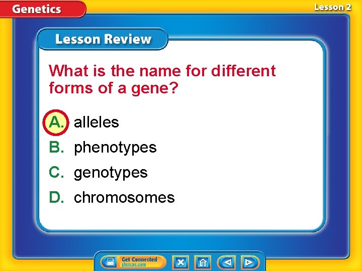 What is the name for different forms of a gene? A. alleles B. phenotypes