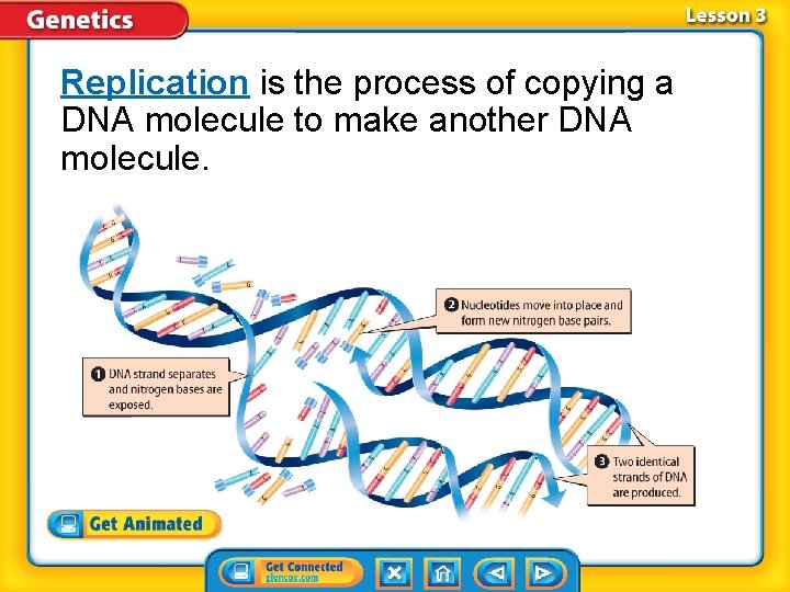 Replication is the process of copying a DNA molecule to make another DNA molecule.