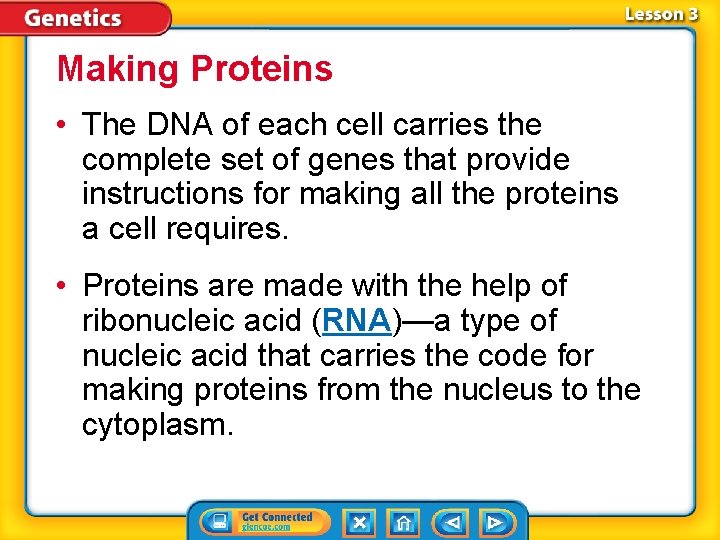 Making Proteins • The DNA of each cell carries the complete set of genes