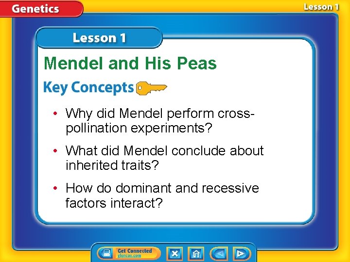 Mendel and His Peas • Why did Mendel perform crosspollination experiments? • What did