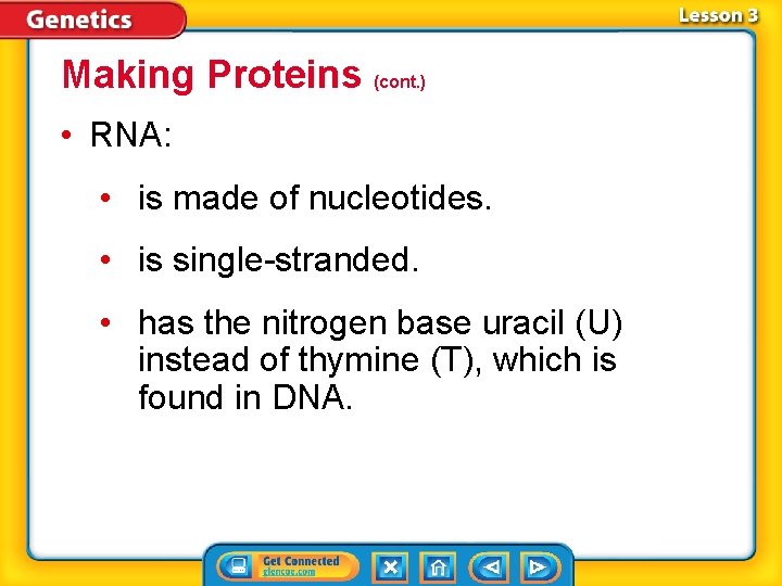 Making Proteins (cont. ) • RNA: • is made of nucleotides. • is single-stranded.