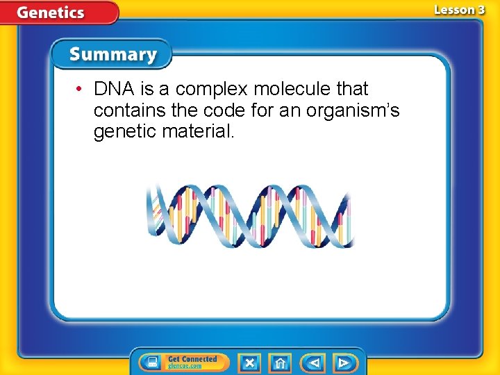  • DNA is a complex molecule that contains the code for an organism’s