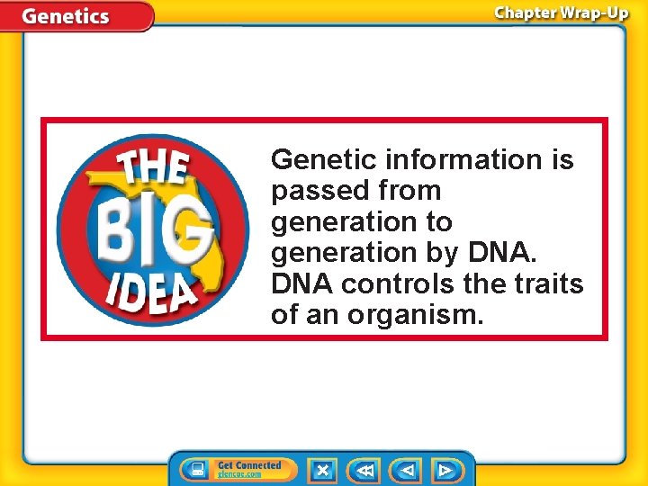 Genetic information is passed from generation to generation by DNA controls the traits of