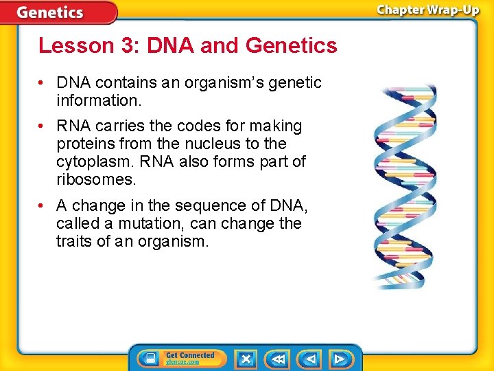 Lesson 3: DNA and Genetics • DNA contains an organism’s genetic information. • RNA