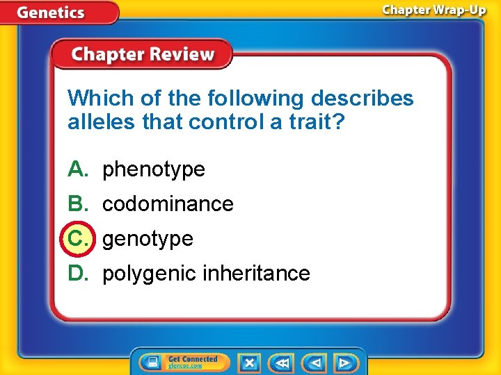 Which of the following describes alleles that control a trait? A. phenotype B. codominance