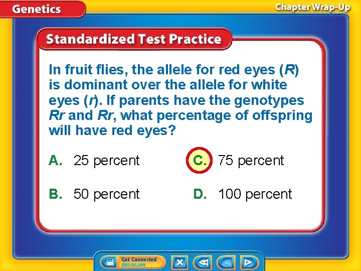 In fruit flies, the allele for red eyes (R) is dominant over the allele