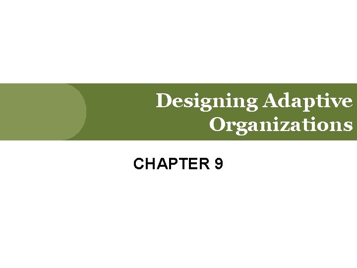 Designing Adaptive Organizations CHAPTER 9 