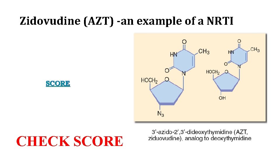 Zidovudine (AZT) -an example of a NRTI SCORE CHECK SCORE 