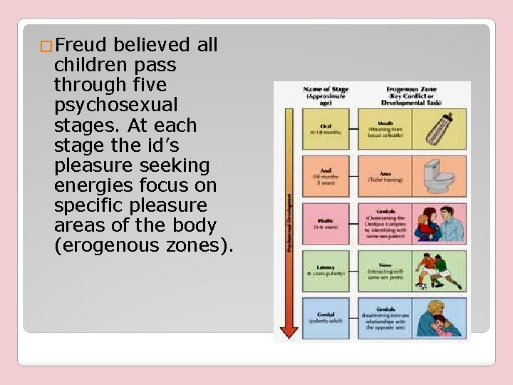 �Freud believed all children pass through five psychosexual stages. At each stage the id’s