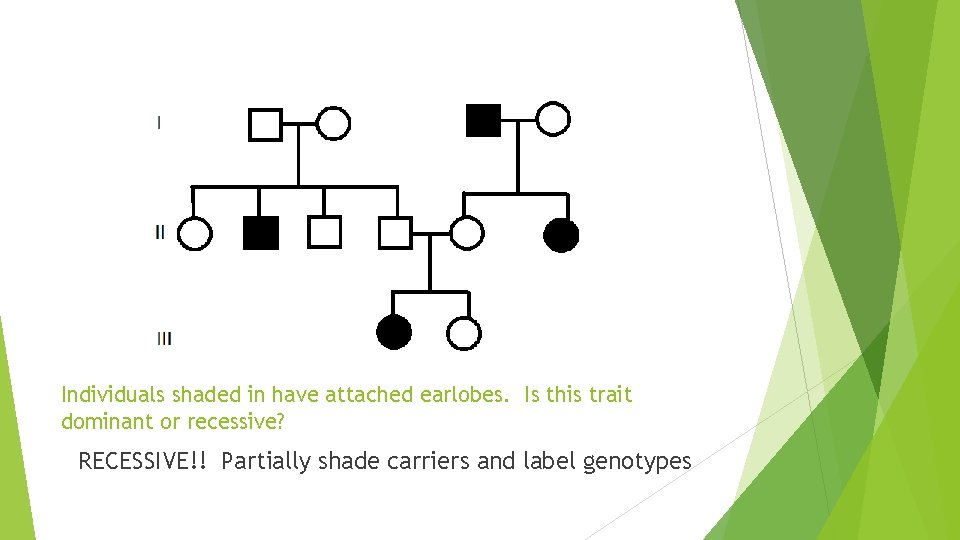 Individuals shaded in have attached earlobes. Is this trait dominant or recessive? RECESSIVE!! Partially