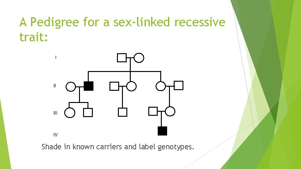 A Pedigree for a sex-linked recessive trait: Shade in known carriers and label genotypes.