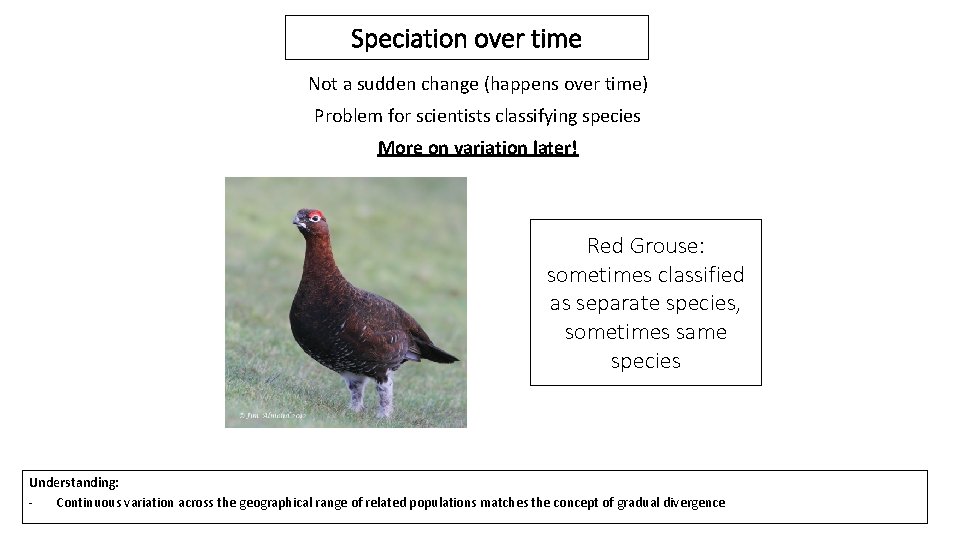 Speciation over time Not a sudden change (happens over time) Problem for scientists classifying