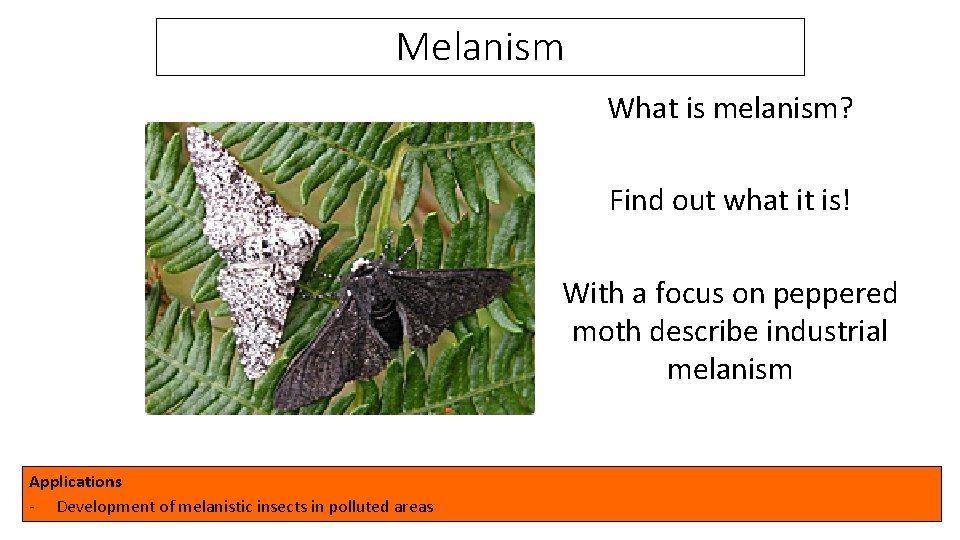 Melanism What is melanism? Find out what it is! With a focus on peppered