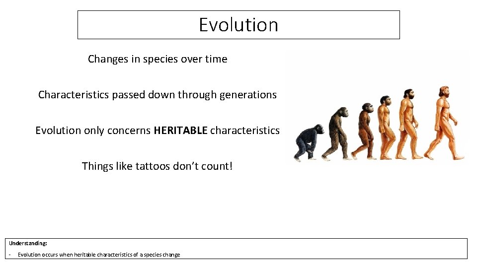 Evolution Changes in species over time Characteristics passed down through generations Evolution only concerns