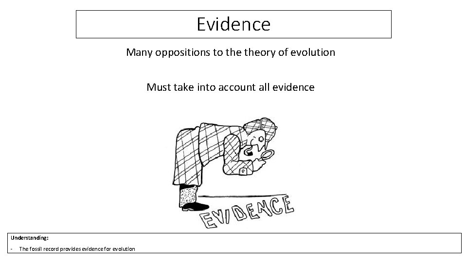 Evidence Many oppositions to theory of evolution Must take into account all evidence Understanding: