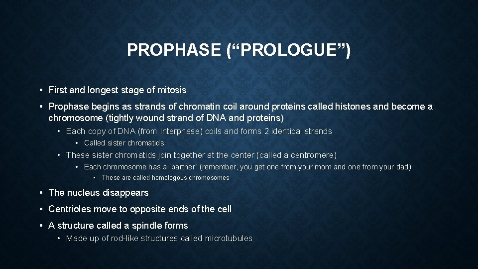 PROPHASE (“PROLOGUE”) • First and longest stage of mitosis • Prophase begins as strands