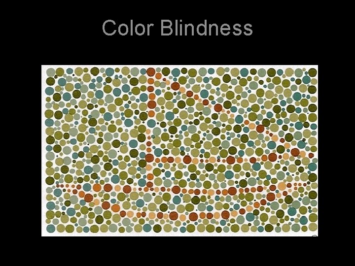 Color Blindness 