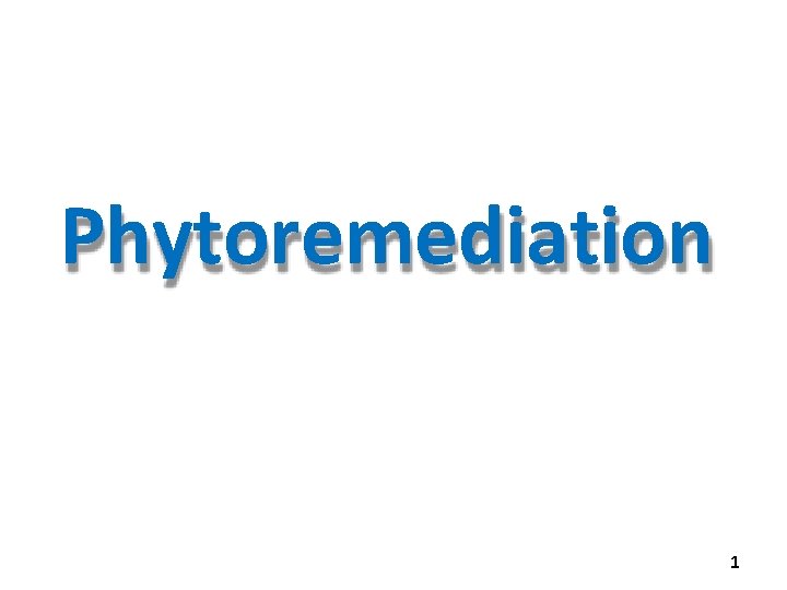 Phytoremediation 1 