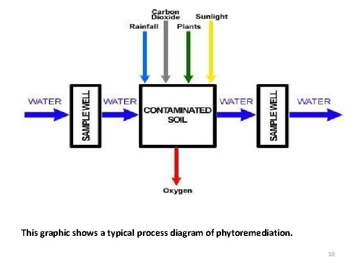 This graphic shows a typical process diagram of phytoremediation. 10 
