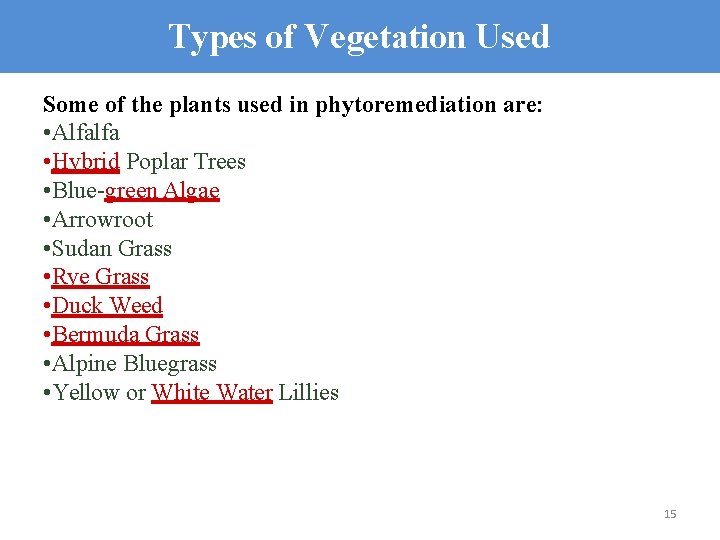 Types of Vegetation Used Some of the plants used in phytoremediation are: • Alfalfa