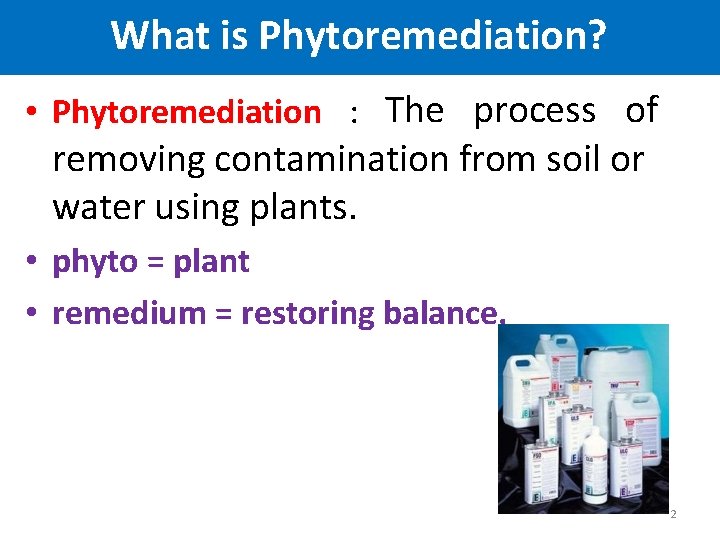 What is Phytoremediation? • Phytoremediation : The process of removing contamination from soil or