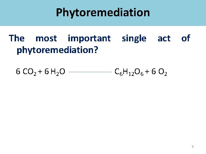 Phytoremediation The most important phytoremediation? 6 CO 2 + 6 H 2 O single