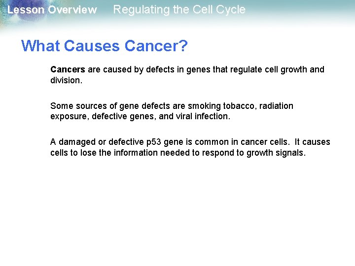 Lesson Overview Regulating the Cell Cycle What Causes Cancer? Cancers are caused by defects