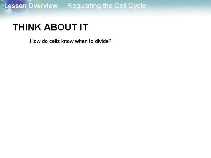 Lesson Overview Regulating the Cell Cycle THINK ABOUT IT How do cells know when