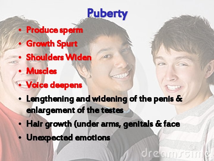 Puberty • • • Produce sperm Growth Spurt Shoulders Widen Muscles Voice deepens Lengthening