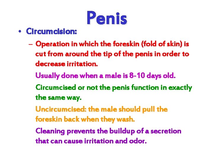  • Circumcision: Penis – Operation in which the foreskin (fold of skin) is