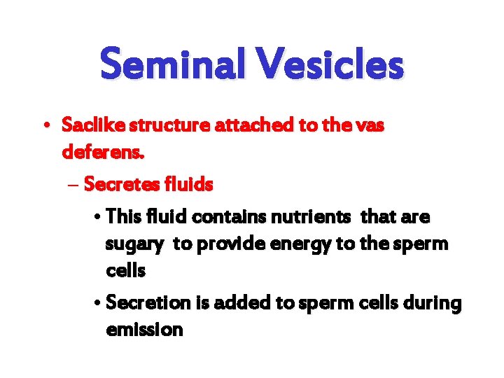 Seminal Vesicles • Saclike structure attached to the vas deferens. – Secretes fluids •