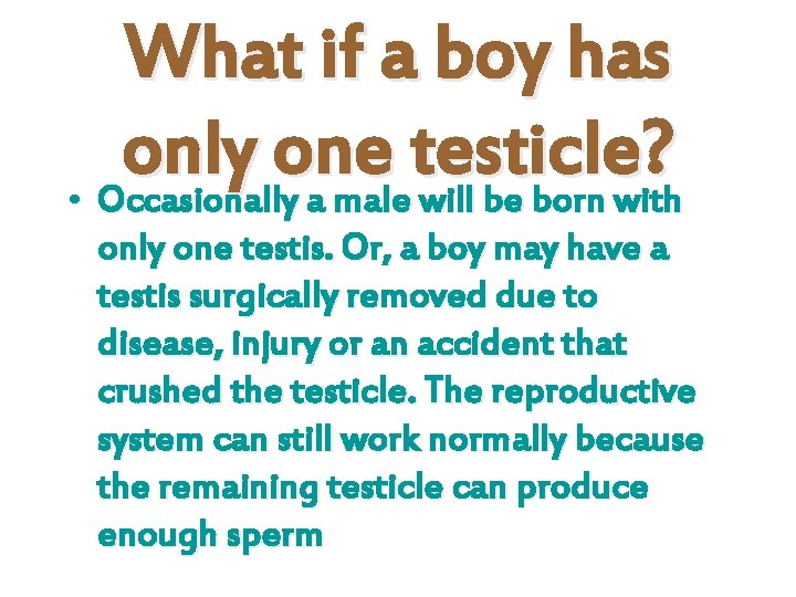 What if a boy has only one testicle? • Occasionally a male will be