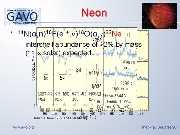 Neon • 14 N(α, n)18 F(e +, )18 O(α, )22 Ne – intershell abundance