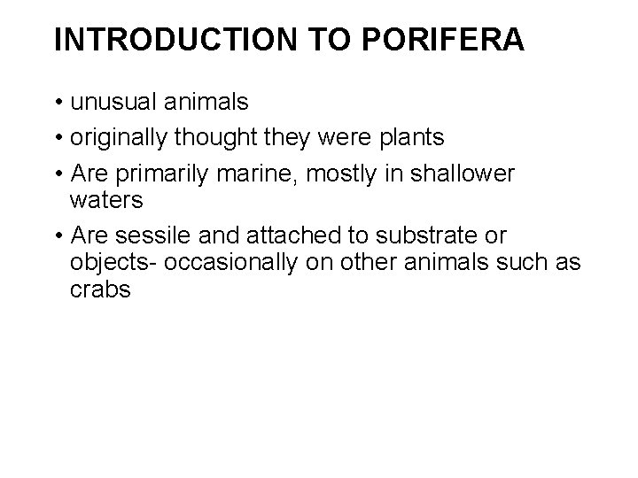 INTRODUCTION TO PORIFERA • unusual animals • originally thought they were plants • Are