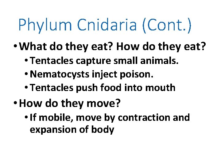 Phylum Cnidaria (Cont. ) • What do they eat? How do they eat? •