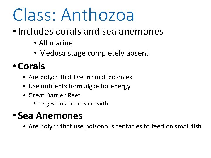 Class: Anthozoa • Includes corals and sea anemones • All marine • Medusa stage