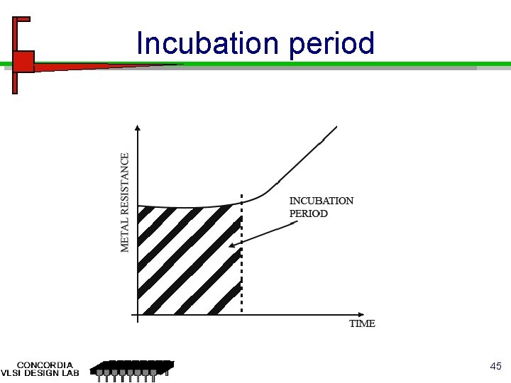 Incubation period 45 
