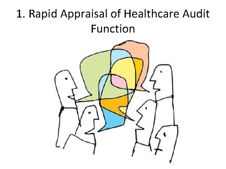 1. Rapid Appraisal of Healthcare Audit Function 