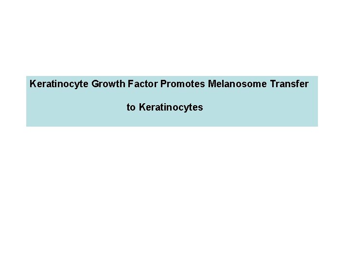 Keratinocyte Growth Factor Promotes Melanosome Transfer to Keratinocytes Keratinocyte Growth Factor Promotes Melanosome Transfer to Keratinocytes