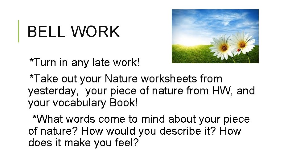 BELL WORK *Turn in any late work! *Take out your Nature worksheets from yesterday,