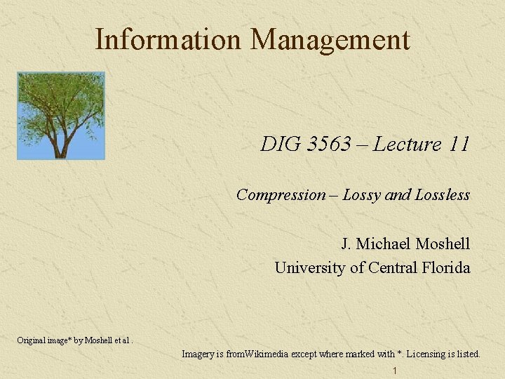 Information Management DIG 3563 – Lecture 11 Compression – Lossy and Lossless J. Michael