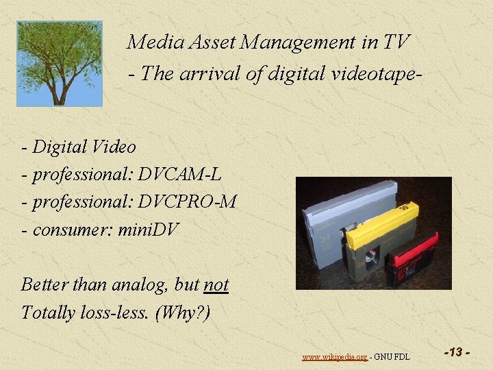 Media Asset Management in TV - The arrival of digital videotape- Digital Video -