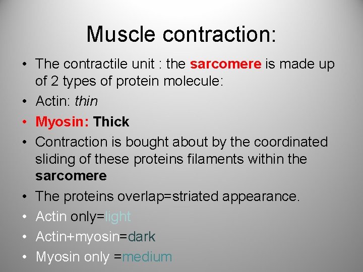 Muscle contraction: • The contractile unit : the sarcomere is made up of 2