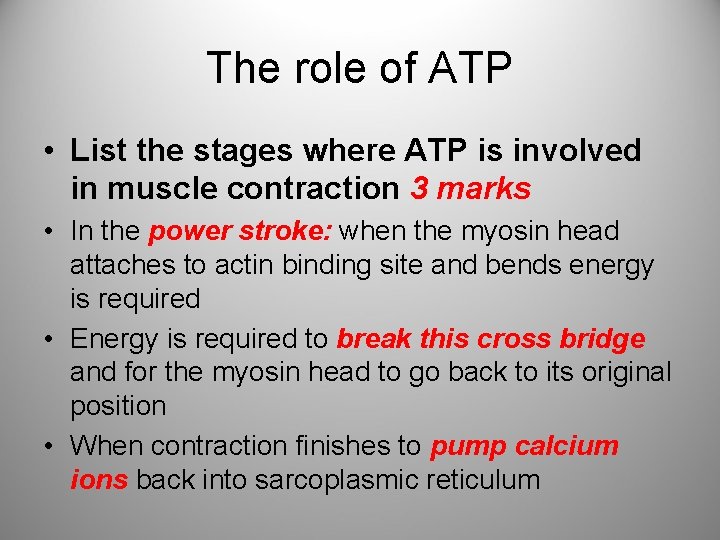 The role of ATP • List the stages where ATP is involved in muscle